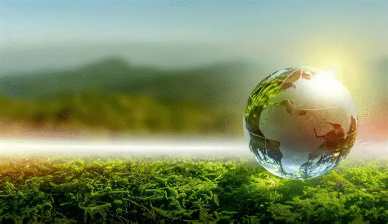 Climate Commitments of Listed Companies are Ongoing