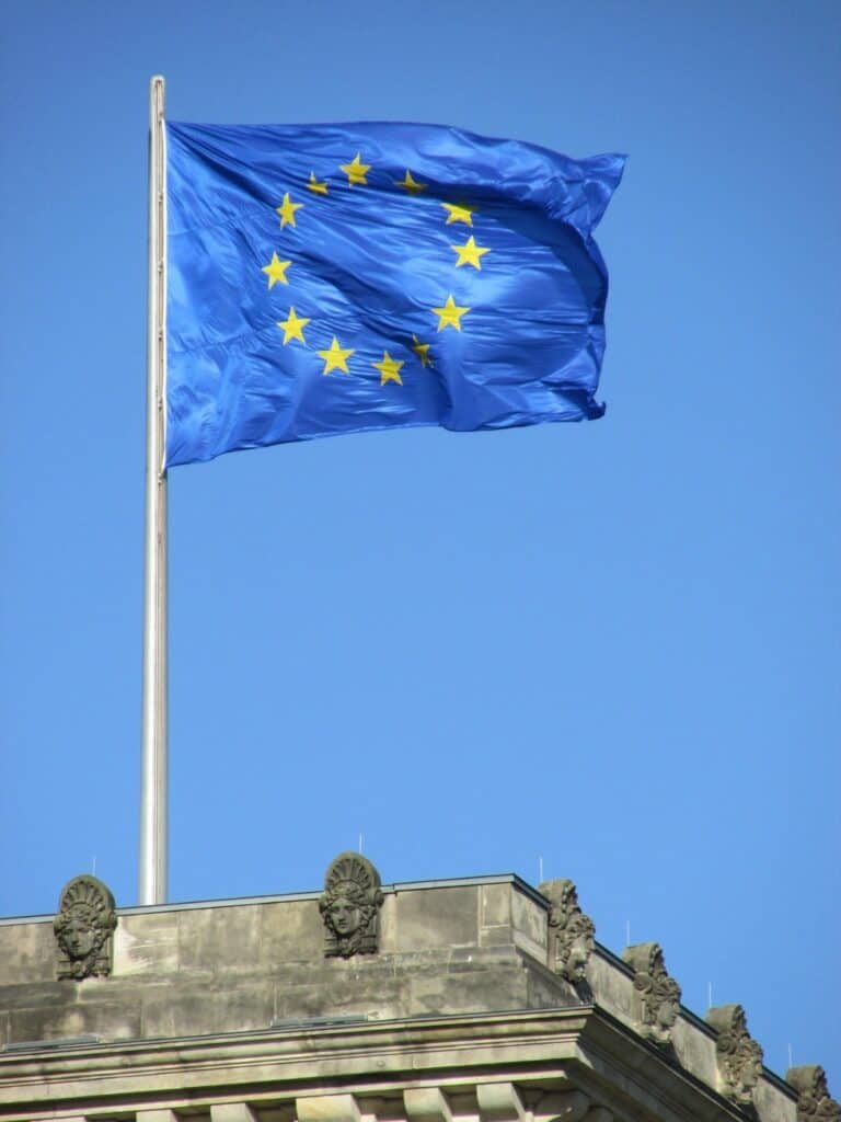 Guidance on Anticipatory Grid Investments in the EU