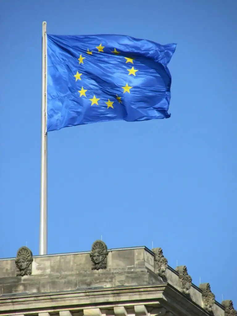 Guidance on Anticipatory Grid Investments in the EU
