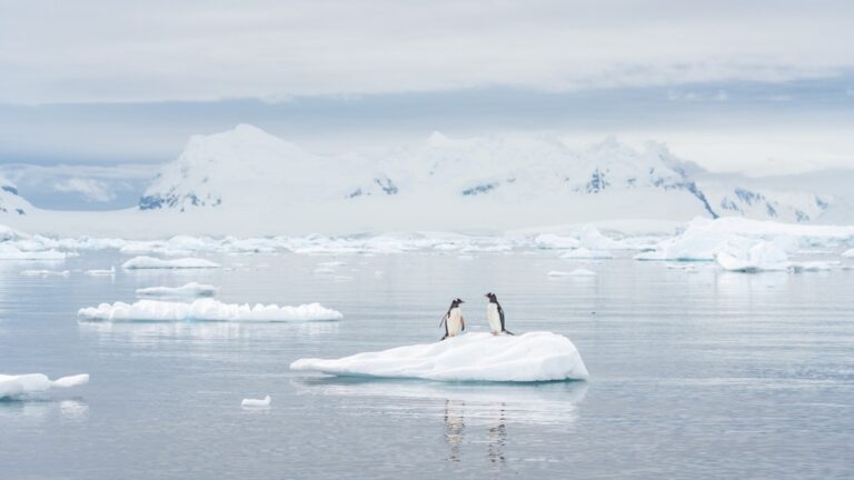 When the Past Warns the Future About Climate Risk