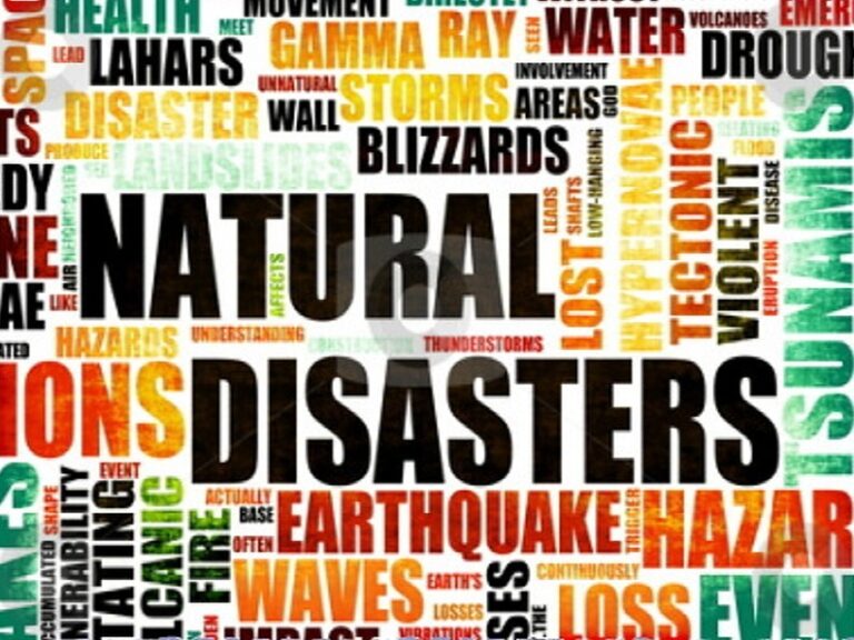 Nature Risk is also a Financial Risk