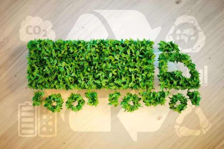 Private Sector Green Transition and Carbon Market Governance